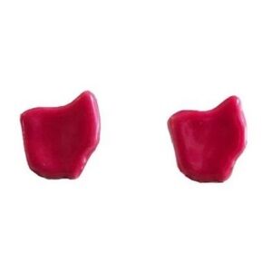 NEW! Ohio State Red Nickel Free Stud Earrings NWT